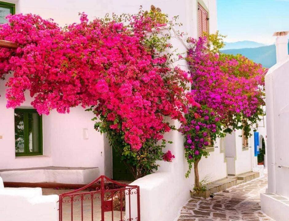 Nafpaktos Studio In Port Ιι Екстер'єр фото